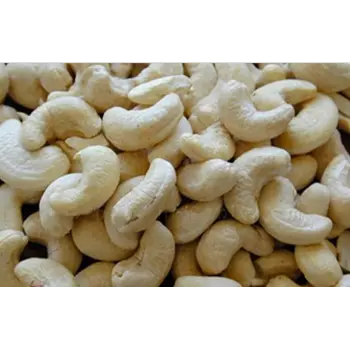 Fresh W320 Cashew Nuts